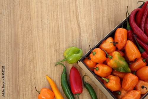 Many different fresh chilli peppers on wooden table  flat lay. Space for text