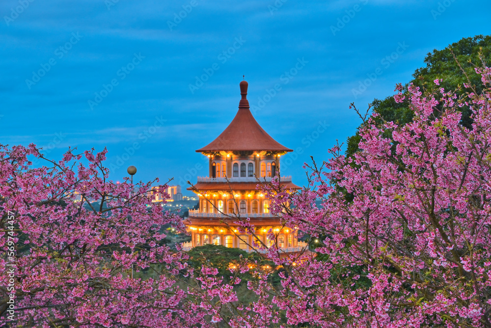 Pink cherry blossoms with Chinese Temple, New Taipei , Taiwan Pink cherry blossoms with Chinese Temple, New Taipei , Taiwan