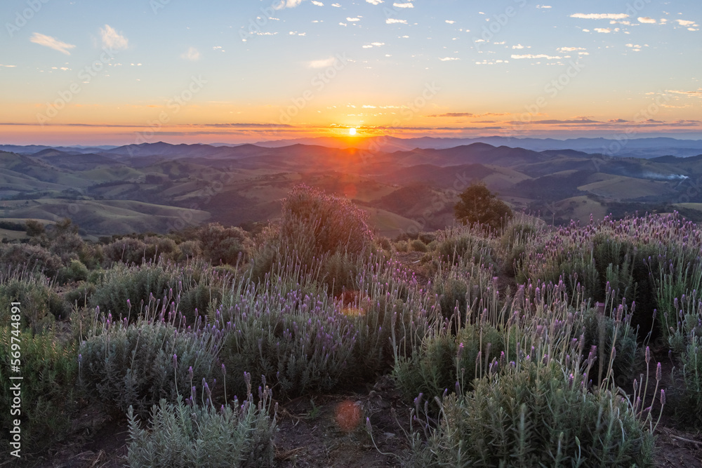 sunset in the lavender mountains