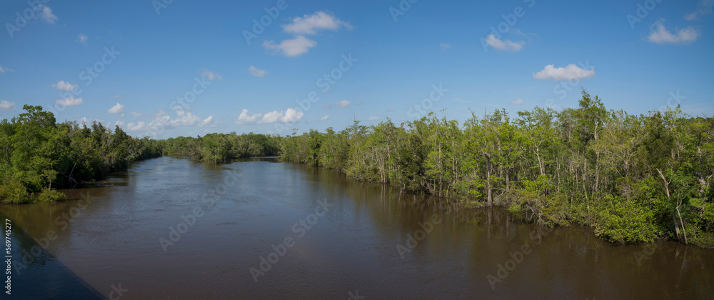 Fototapeta premium River at Milton, Florida with trees on the shore against the blue sky. Panorama of river waterways in the middle of green trees on the side.