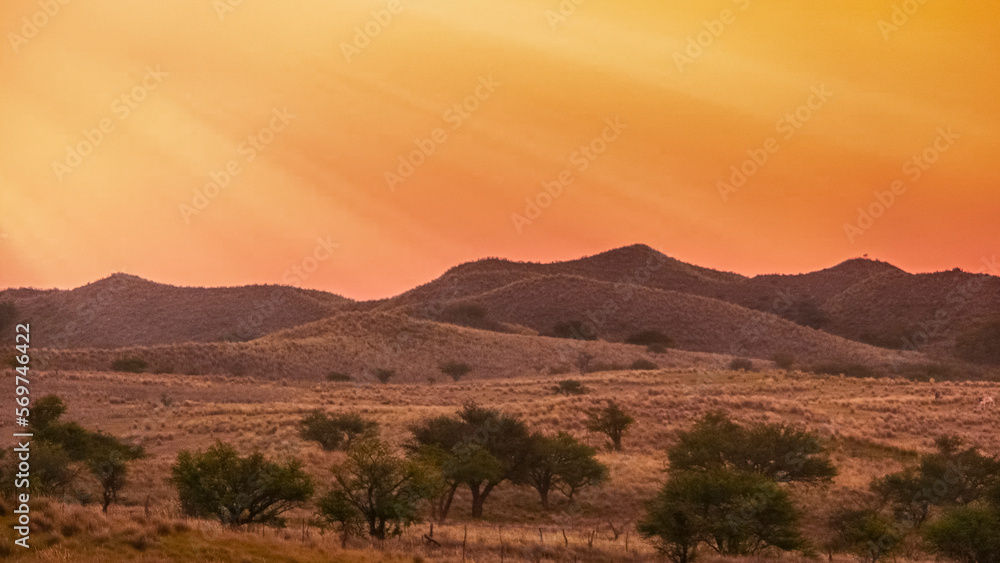 Fototapeta premium médanos al atardecer