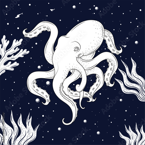 octopus with algaes