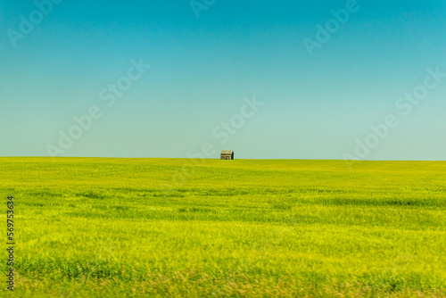 Barn in a field