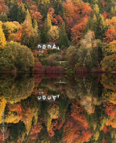 Fall at Deer Lake