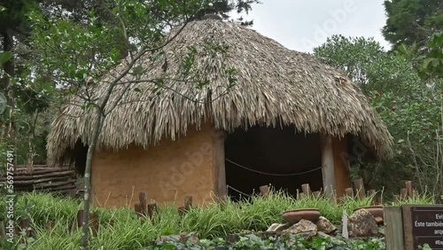 Indigenous Colombian straw hut in the middle of the jungle photo