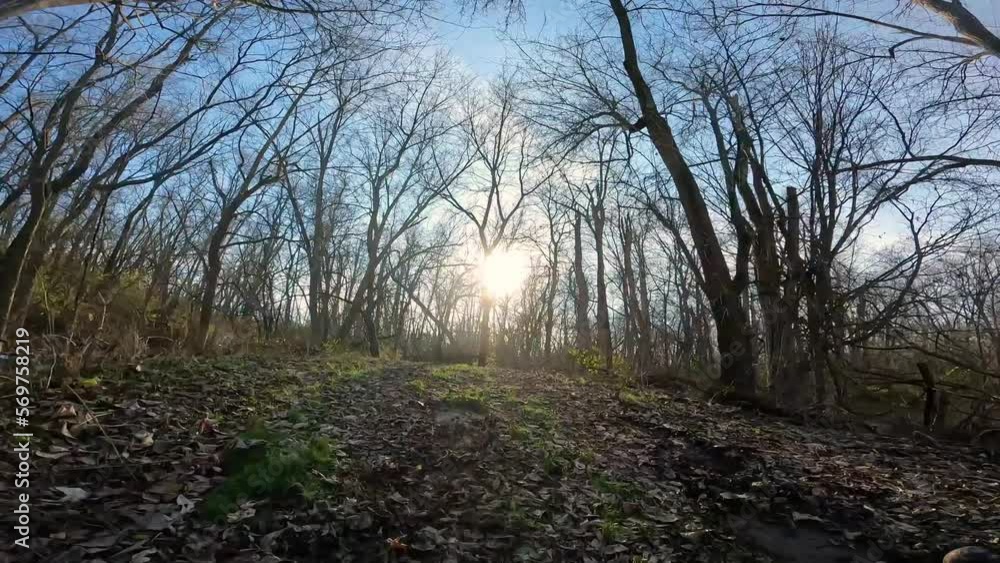 Point of view; driving a all terrain vehicle on a leaf covered trail through the woods after wind storm; downed trees along the trail; sunny day in late Autumn in the American Midwest; nature Point of view; driving a all terrain vehicle on a leaf covered trail through the woods after wind storm; downed trees along the trail; sunny day in late Autumn in the American Midwest; nature