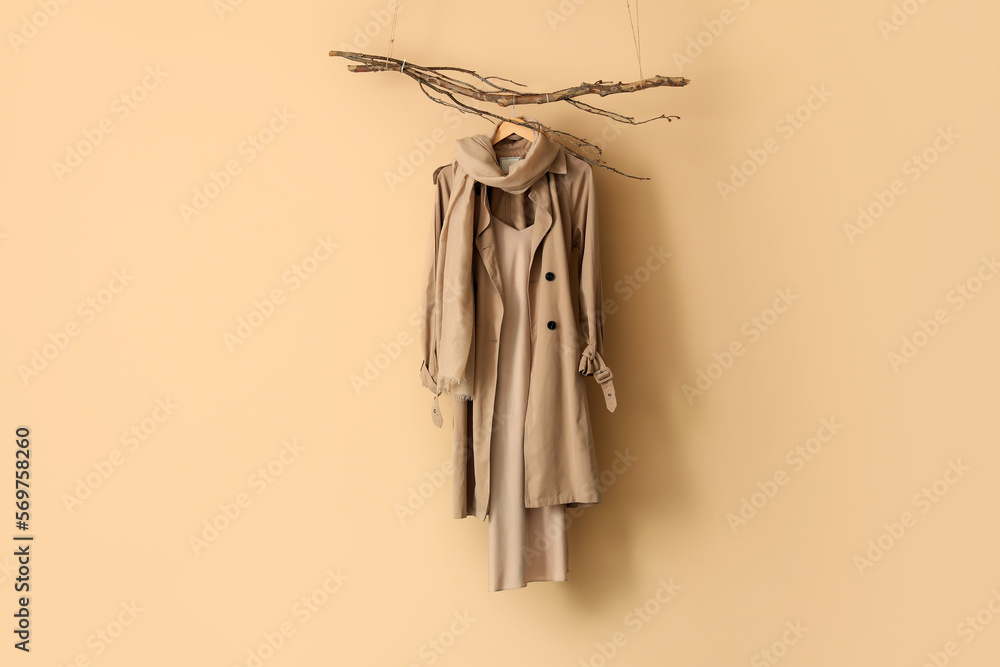 Tree branches with stylish clothes hanging on beige wall