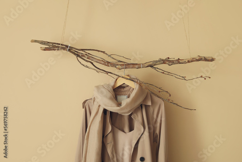 Tree branches with stylish clothes hanging on beige wall