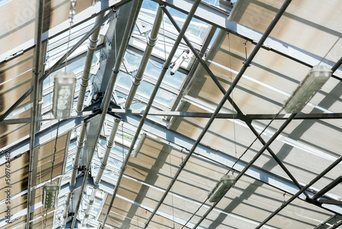 glass ceiling of contemporary greenhouse. structure of steel roof frame.
