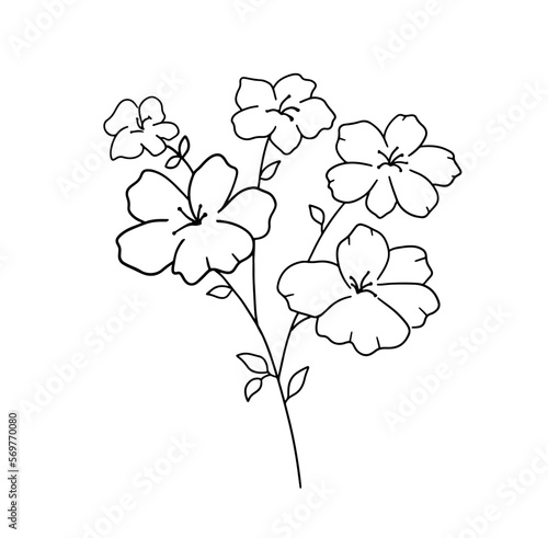 Hand drawn flower. Vector outline wildflowers sketch. Line art doodle isolated on white background