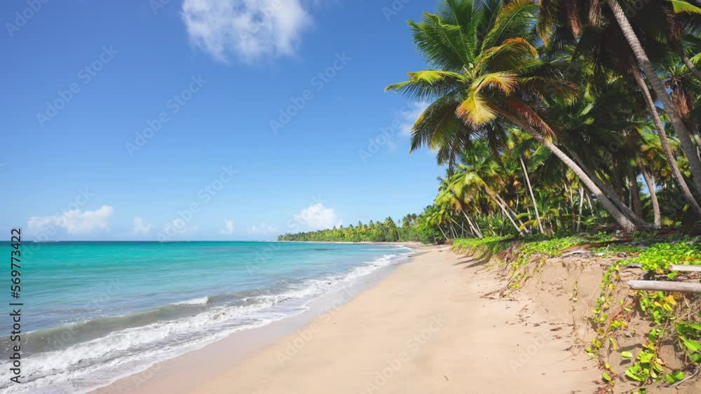 Concept of sea blue sky with tropical foliage of nature in the form of palm forest. Amazing tranquility and inspiration of the beach coast. Sunny summer mood, beach landscape copy space. Concept of sea blue sky with tropical foliage of nature in the form of palm forest. Amazing tranquility and inspiration of the beach coast. Sunny summer mood, beach landscape copy space.