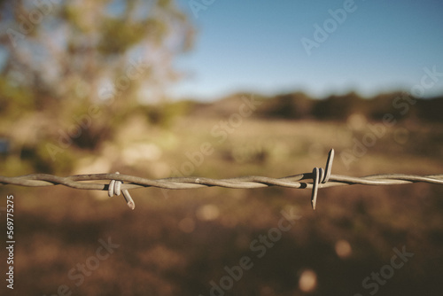 barbed wire on a fence