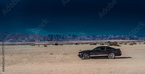 mustang centinela photo