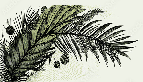 plantation abstract plant background illustration vector graphic