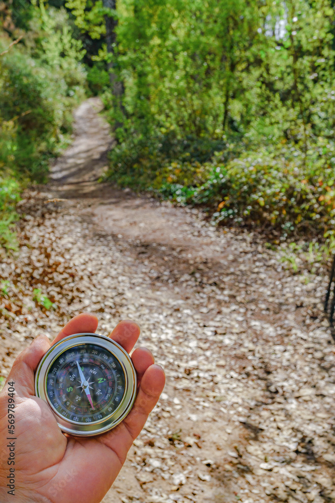 Naklejka premium man's hands holding a compass in the forest getting his bearings