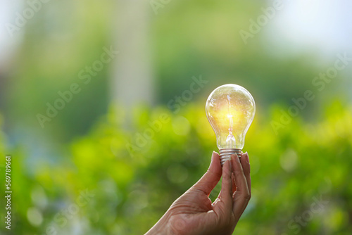 Light bulbs that grow, in the concept of energy in nature.