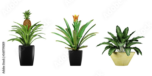 plant in a vase isolated on transparant background, 3d render illustration.