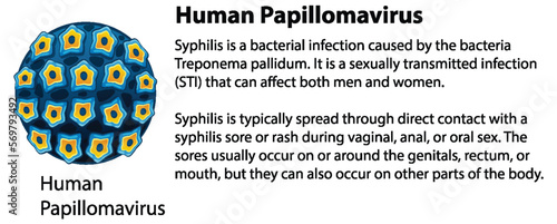 Human Papillomavirus with explanation photo