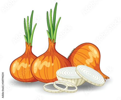 Whole of onion and sliced