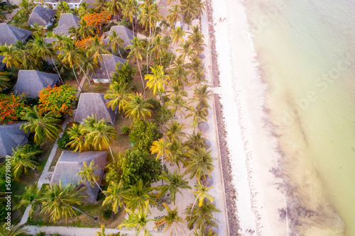 Zanzibar is a real oasis for holidays, and the beach looks like paradise thanks to sunny days and palm trees.