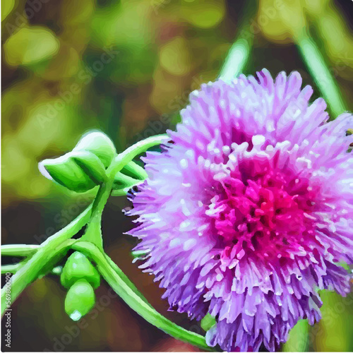closeup view of flower