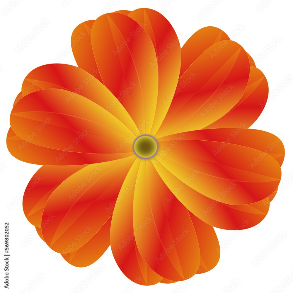 オレンジの花 オレンジの花