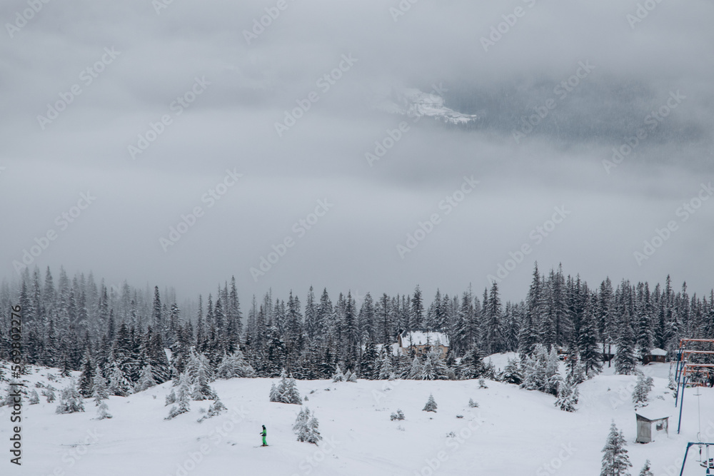 Dragobrat, Ukraine mountain landscape with fog and fir trees. Dragobrat, Ukraine mountain landscape with fog and fir trees.