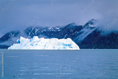 Iceberg at a rocky coastline in Arctic