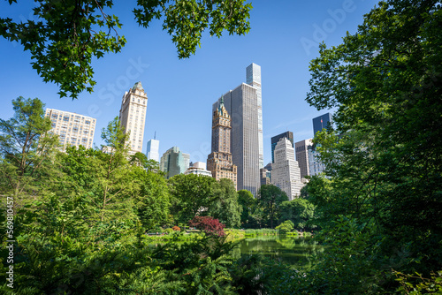 Photography View of the fith avenue building from south east of Central Park, New York City