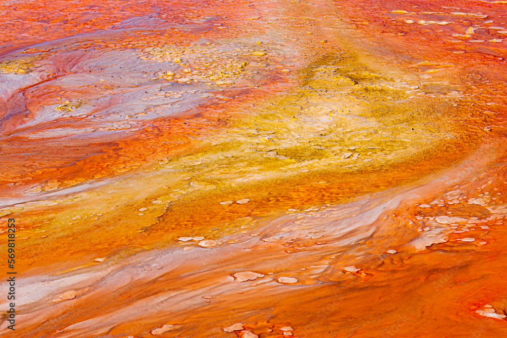 Growth of colorful algae in water of a hot spring on the El Tatio geyser field in the Andes mountain range in the north of Chile 