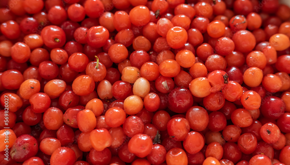 Natural looking cherry. Selective focus. Natural looking cherry. Selective focus.