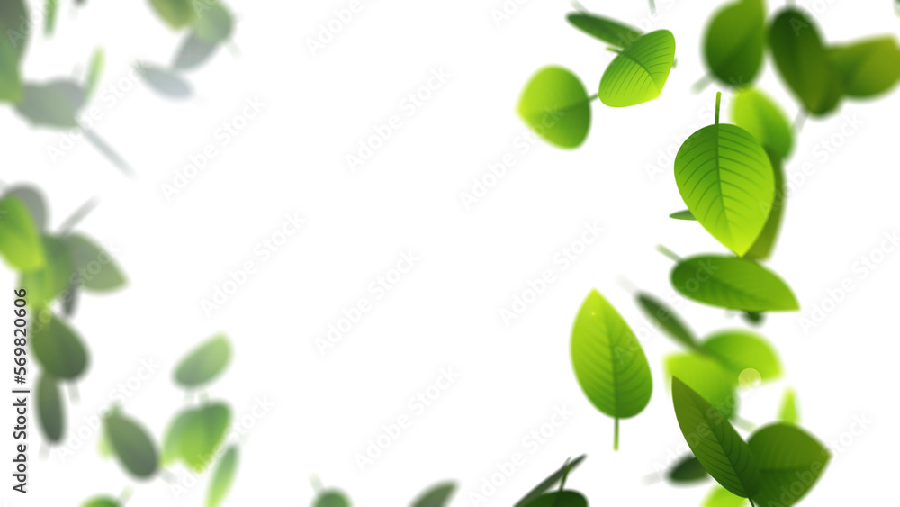 Flying green leaves on white background Flying green leaves on white background