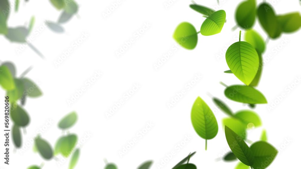 Flying green leaves on white background