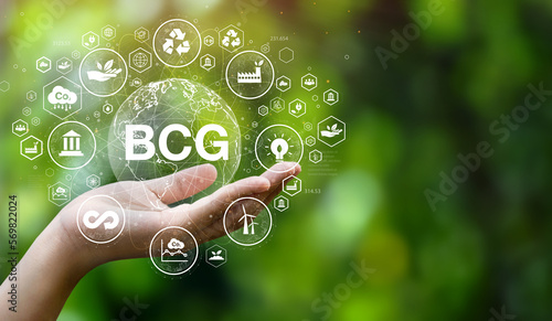 BCG icon concept for sustainable economic development, bio-economy, circular economy, green economy with icon on hand photo