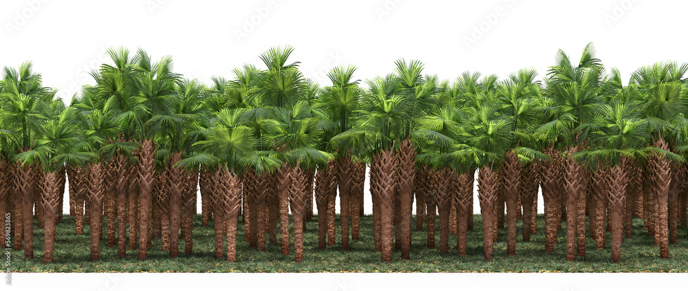 Fototapeta premium forest line, trees in the forest with grass and fallen leaves, isolated on transparent background, 3D illustration, cg render