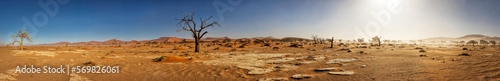 Panoramic view of sand dunes and bare tree at Sossusvlei, Namibia, Africa