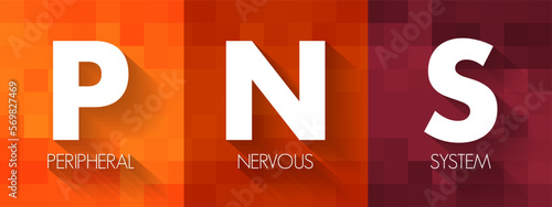 PNS Peripheral Nervous System - responsible for relaying information between your body and brain, acronym text concept background