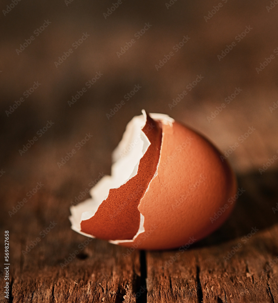 Abstract Egg Shell Cracked In Two Parts