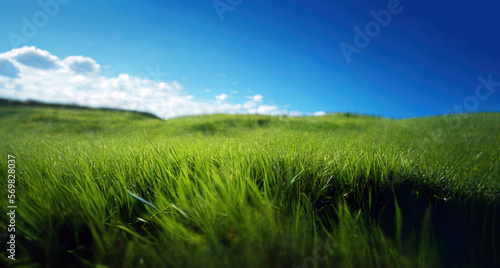 Green grass and blue sky. Spring field and sunshine  Generative AI