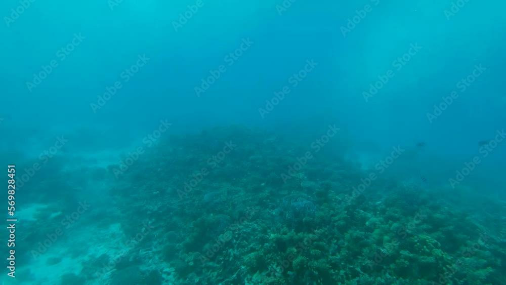 Underwater View of Coral Reef. Diving. Snorkeling. Sea Water Surface From the Window of a Boat. Underwater View of Coral Reef. Diving. Snorkeling. Sea Water Surface From the Window of a Boat.