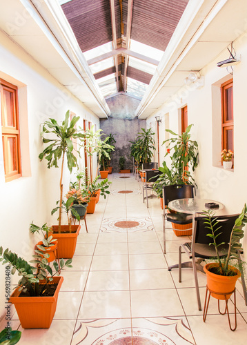 A hotel corridor with pots of natural plants. Corridors of a tropical hotel