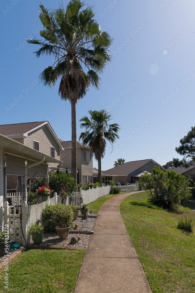 Vertical shot view of a pathway near the houses with picket fence and palm trees in Navarre, Florida. Narrow concrete path on a grass with bushes outside along the residences on the left.