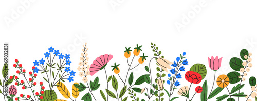 Blooming wild field flowers, decorative border. Spring floral nature decoration, banner. Blossomed meadow plants, delicate summer flora decor. Flat vector illustration isolated on white background