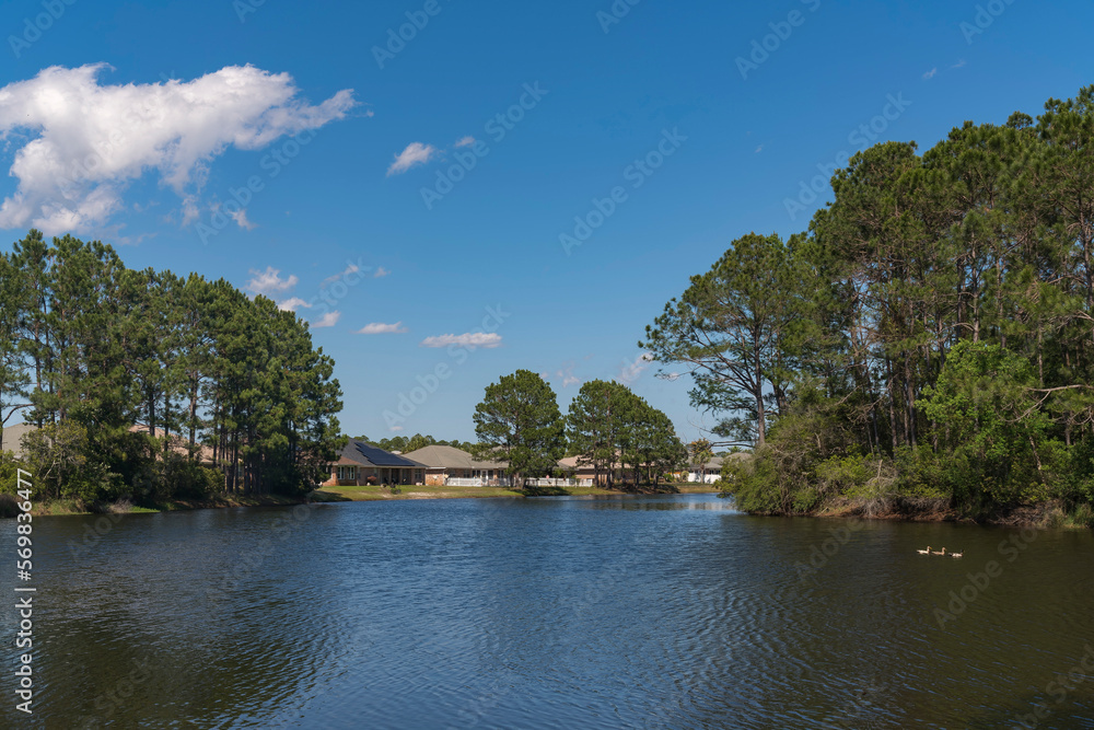 River with ducks running through the forest near the residential area in Navarre, Florida. Wide river with tall trees on the shore near the bungalow houses on the right.