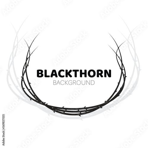 Blackthorn branches with thorns crown