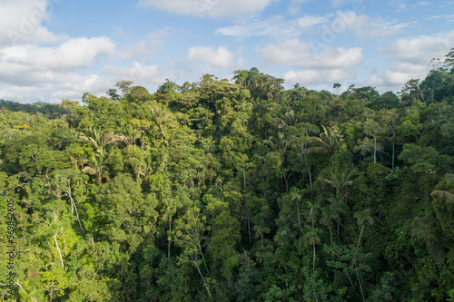 Amazon jungle landscape from the east of Ecuador © sebas