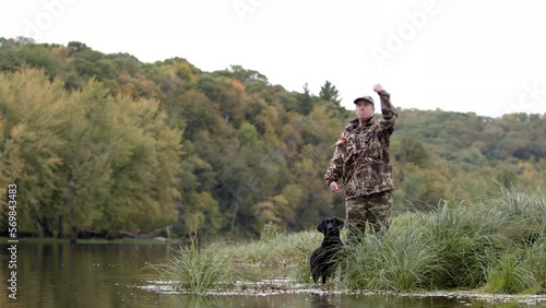 Black Labrador retrieving along the Saint Croix River with hunter.