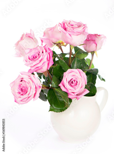 Flowers with clipping path  side view. Beautiful pink roses on stem with leaves isolated on white background. Natur object for design to Valentines Day  mothers day  anniversary