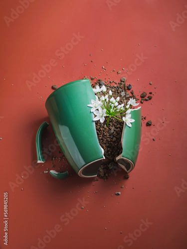 Still life broken green ceramic cup soil white flowers inside. Brown background. Copy space. Art.