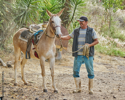 Farmer man posing with a horse flipping on camera rural life © Cavan